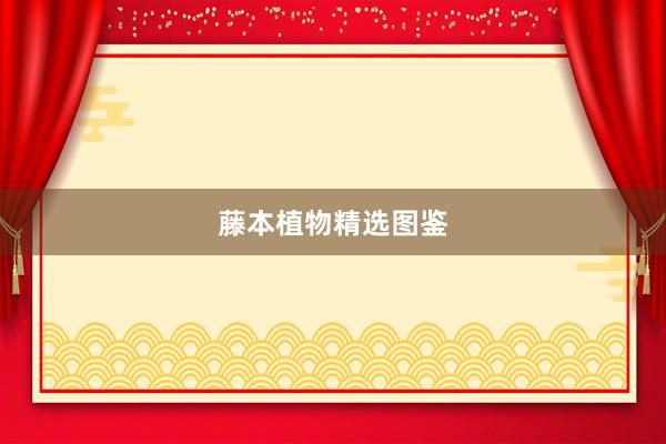 藤本植物精选图鉴