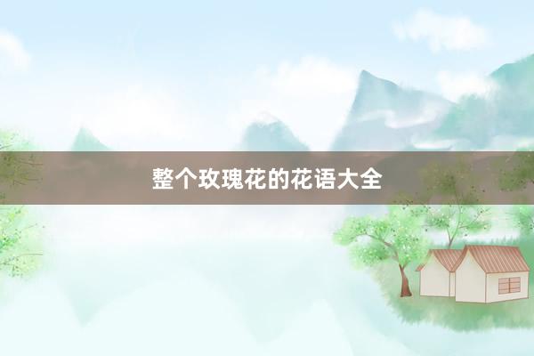 整个玫瑰花的花语大全